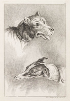 KG 01102
<br/>
Serie honden, wolven en leeuwen (11 bladen)
<br/>
<em>Ridinger, Johann Elias (1698-1767)</em>